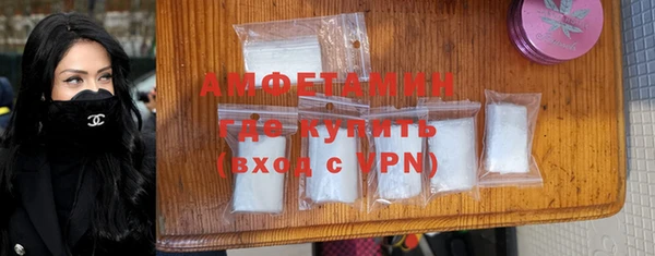 соль ск Дмитриев