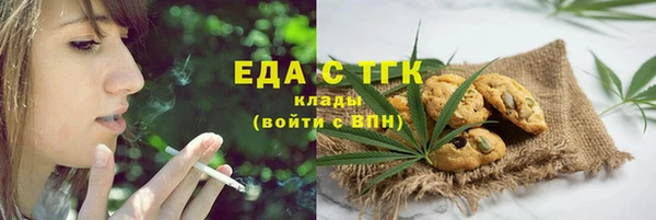 соль ск Дмитриев