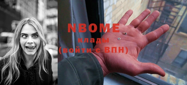 соль ск Дмитриев