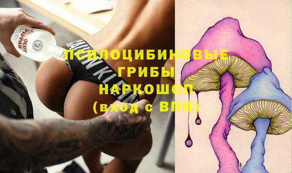 соль ск Дмитриев