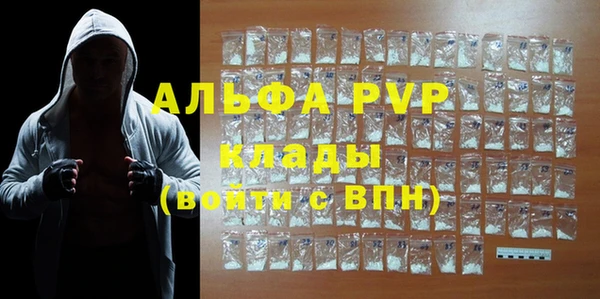 соль ск Дмитриев