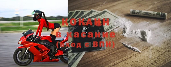 соль ск Дмитриев