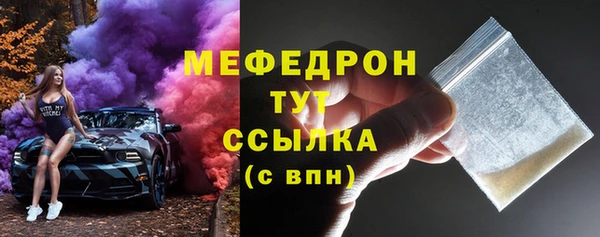 соль ск Дмитриев
