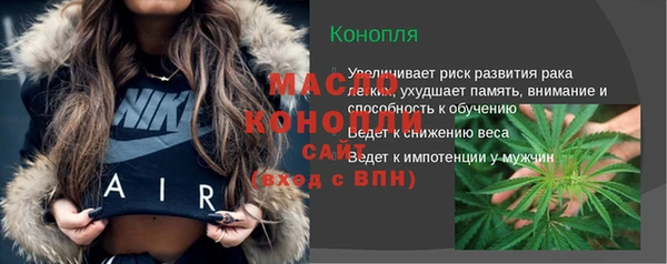 соль ск Дмитриев