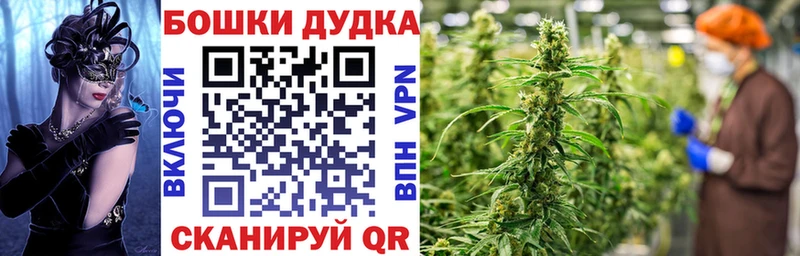 Шишки марихуана White Widow  Купить закладки  Суджа 
